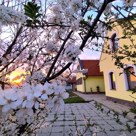 Idylicky Rodinny Penzion Arkadia Pri Dunajskej Cyklotrase Kyselica Buitenkant foto