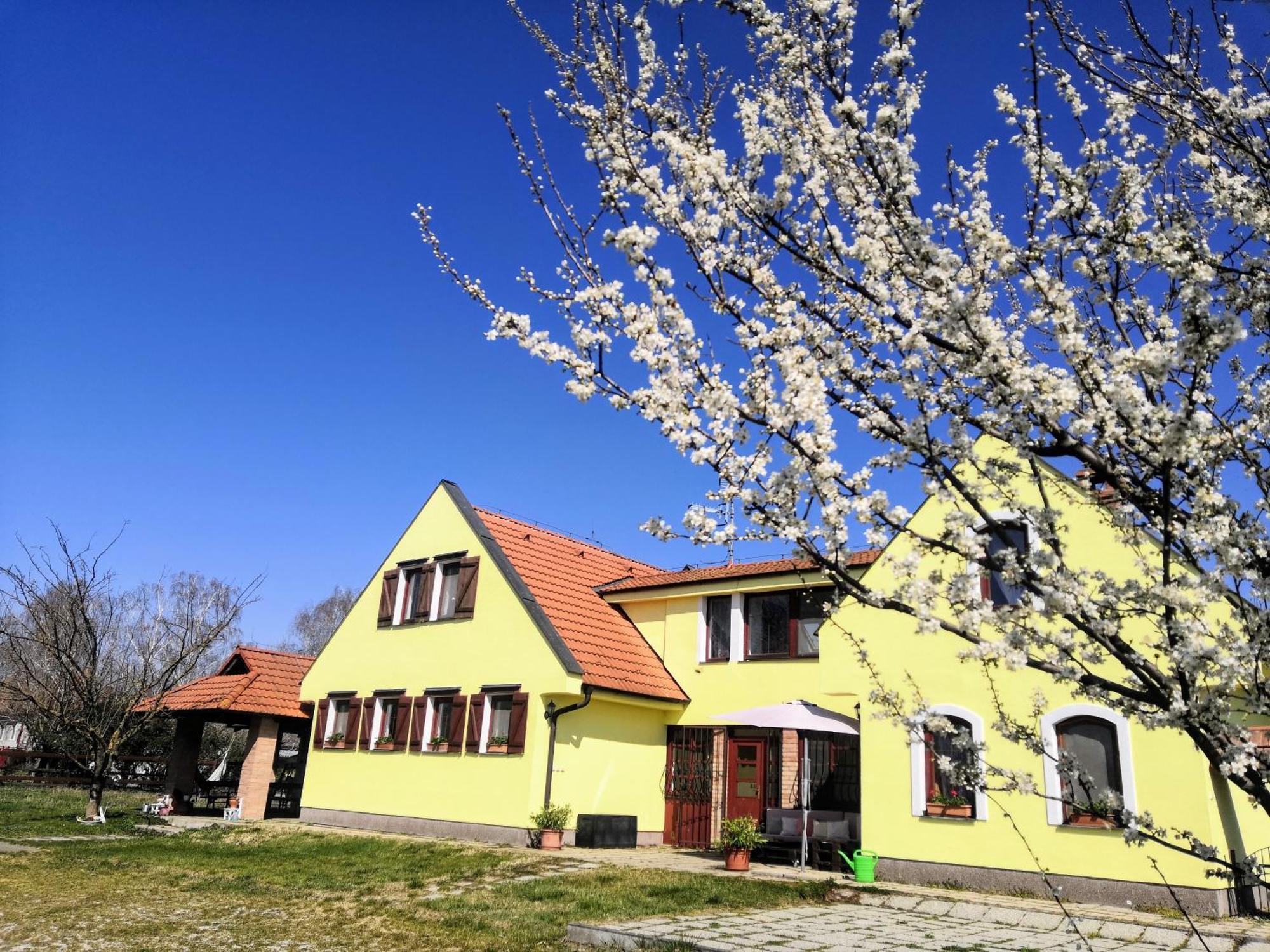 Idylicky Rodinny Penzion Arkadia Pri Dunajskej Cyklotrase Kyselica Buitenkant foto
