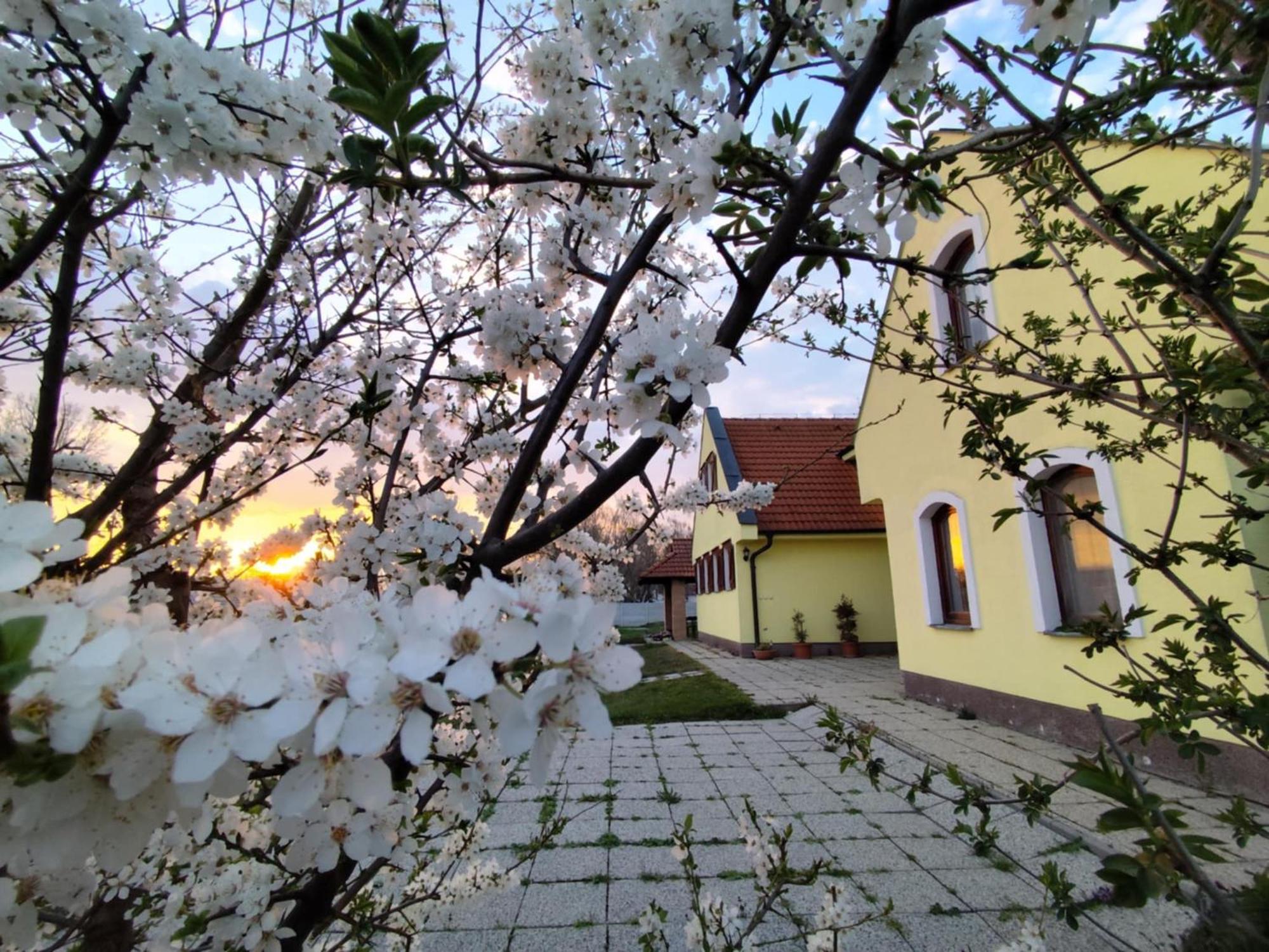 Idylicky Rodinny Penzion Arkadia Pri Dunajskej Cyklotrase Kyselica Buitenkant foto