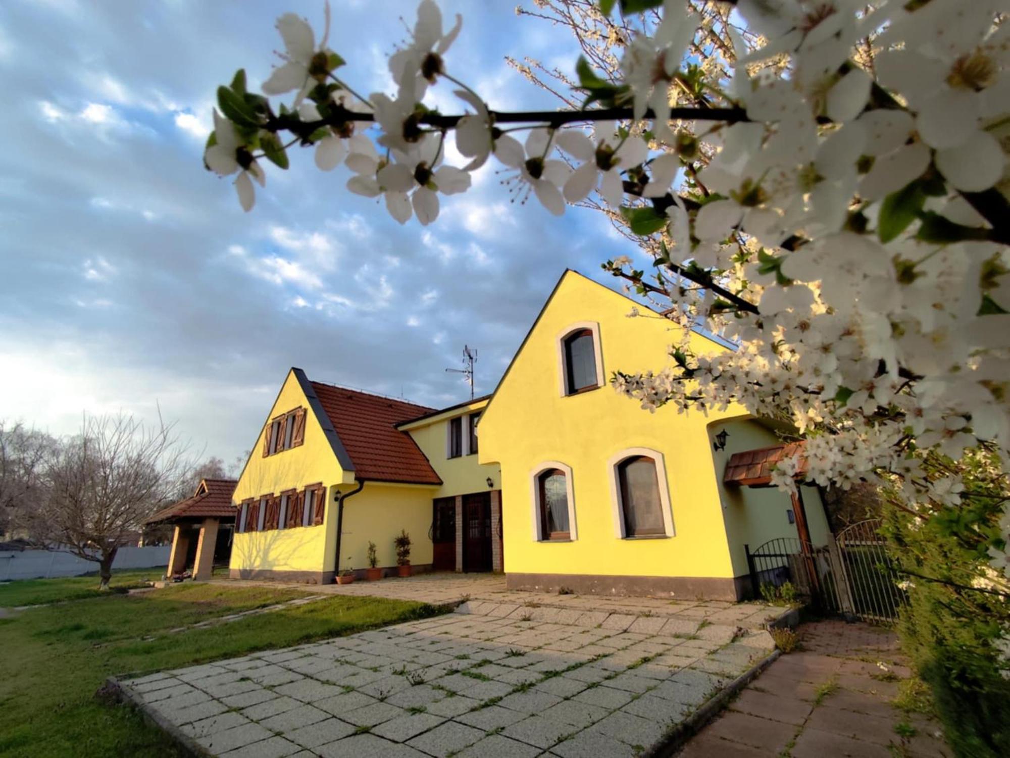 Idylicky Rodinny Penzion Arkadia Pri Dunajskej Cyklotrase Kyselica Buitenkant foto