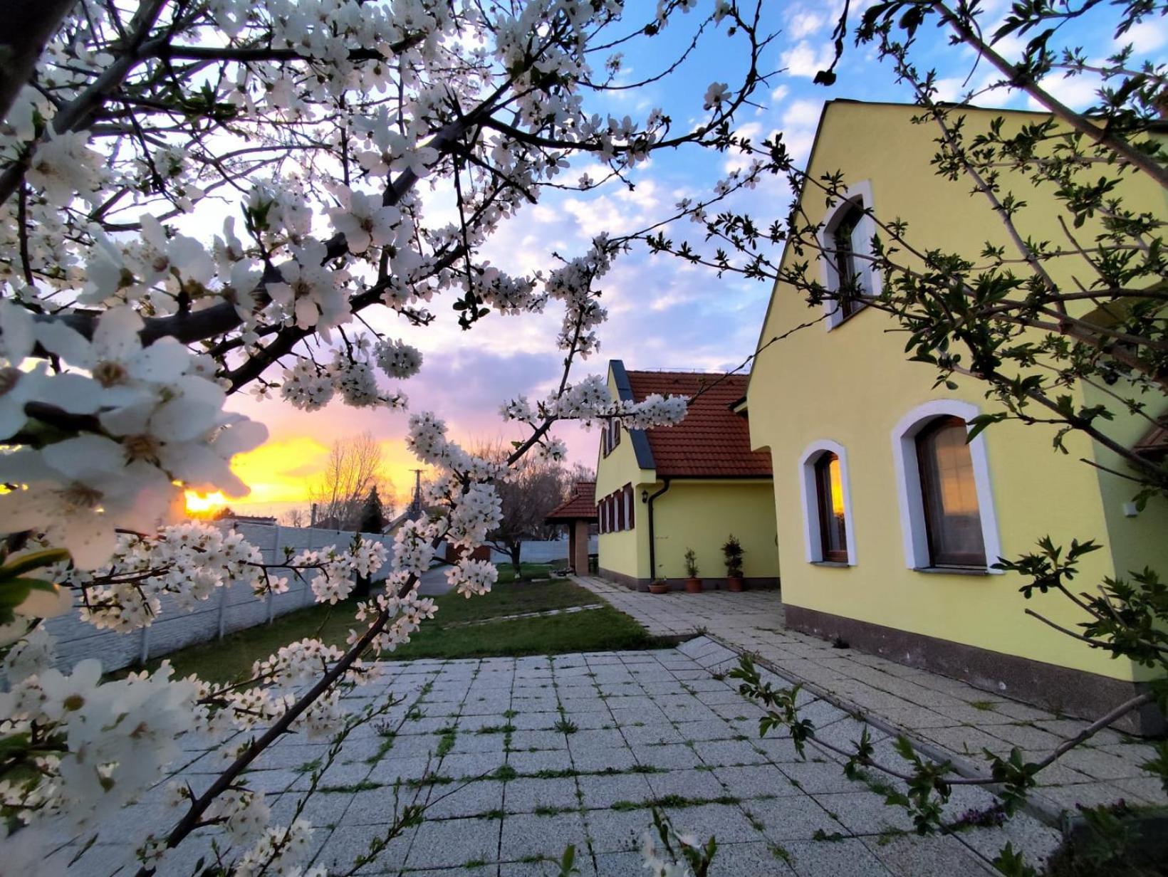 Idylicky Rodinny Penzion Arkadia Pri Dunajskej Cyklotrase Kyselica Buitenkant foto