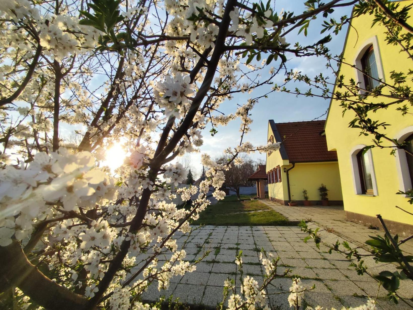 Idylicky Rodinny Penzion Arkadia Pri Dunajskej Cyklotrase Kyselica Buitenkant foto