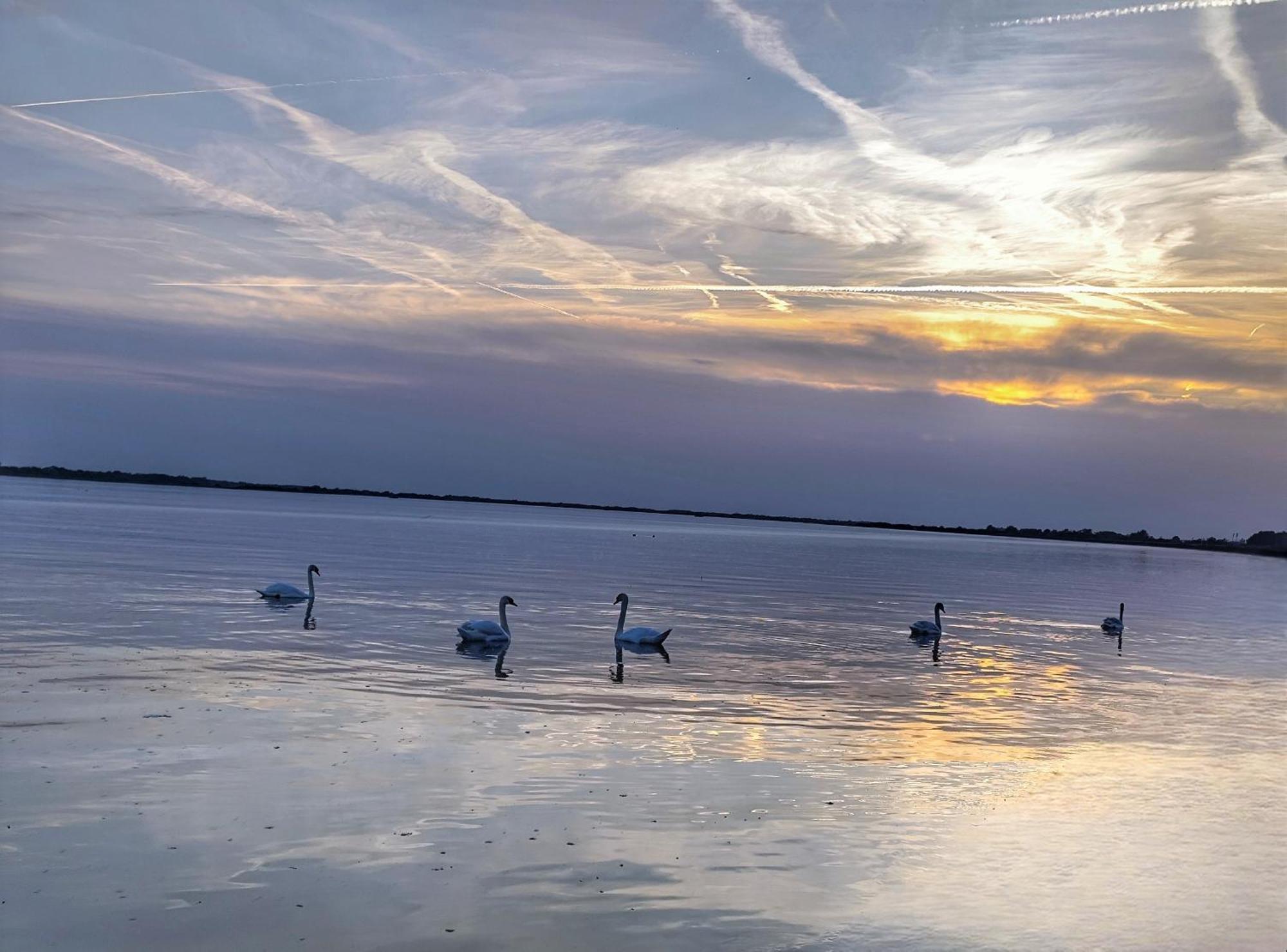 Idylicky Rodinny Penzion Arkadia Pri Dunajskej Cyklotrase Kyselica Buitenkant foto
