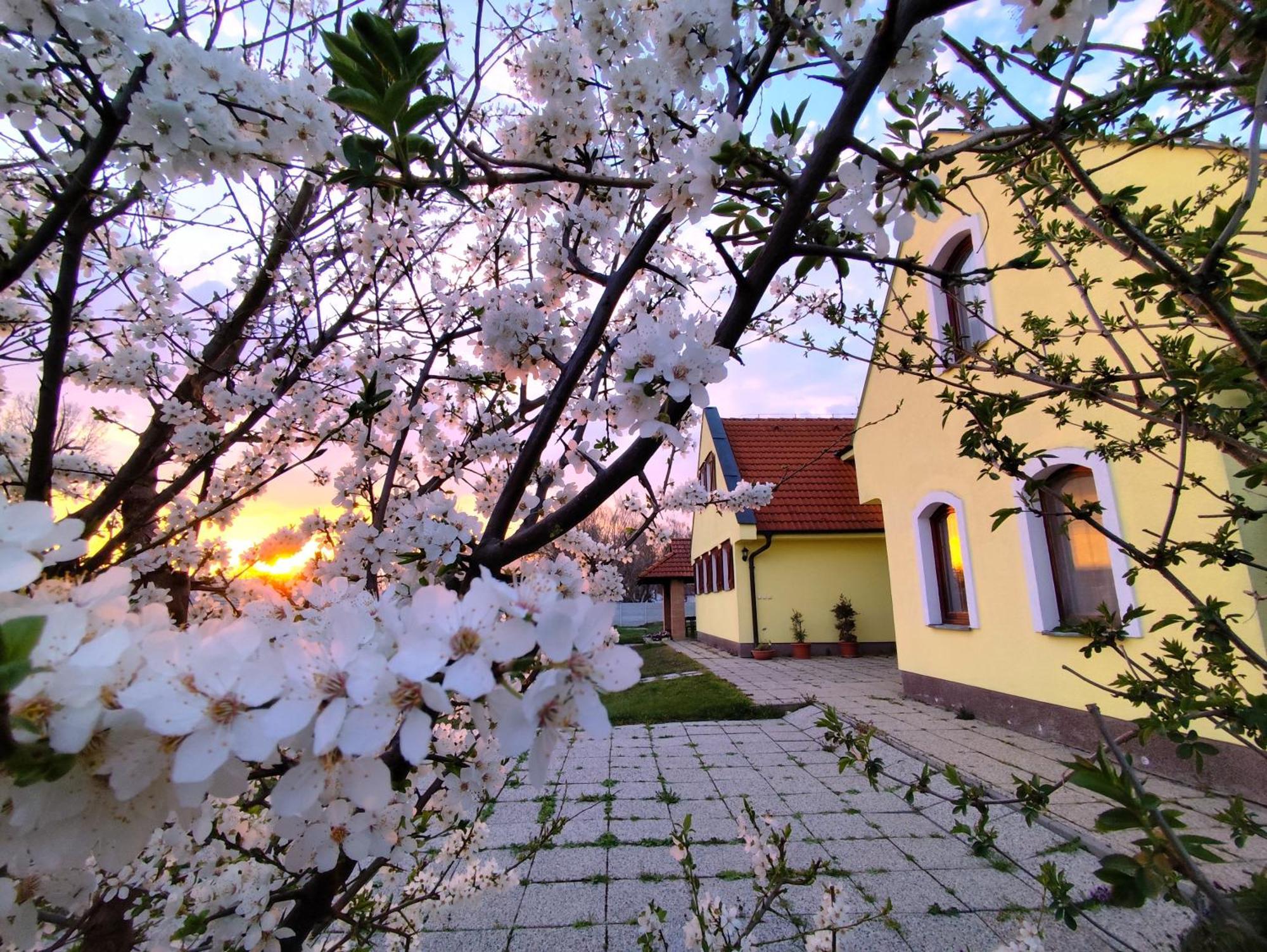 Idylicky Rodinny Penzion Arkadia Pri Dunajskej Cyklotrase Kyselica Buitenkant foto
